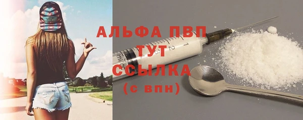 дживик Мегион