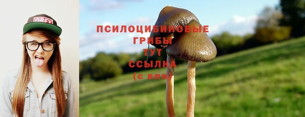 герыч Майский