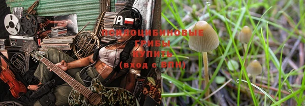 герыч Медногорск