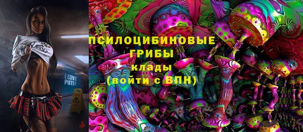 молекула духа Магадан