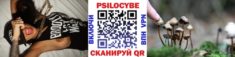 Галлюциногенные грибы Psilocybine cubensis  MEGA онион  Почеп 